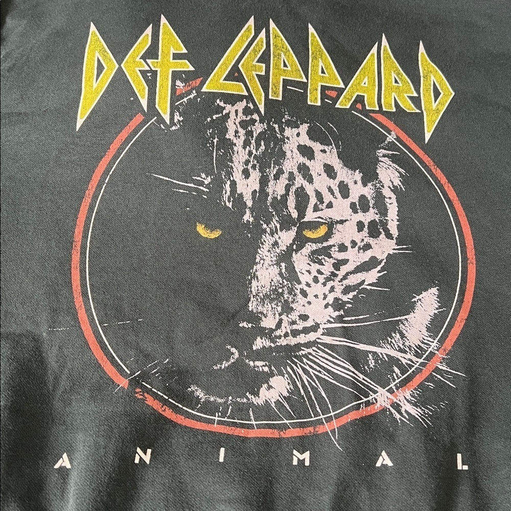 H&M Def Leppard Graphic Hoodie Gray Size Small